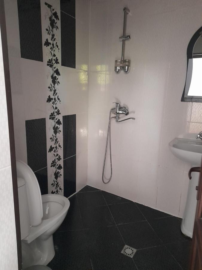 Guesthouse Borjomi Ngoại thất bức ảnh